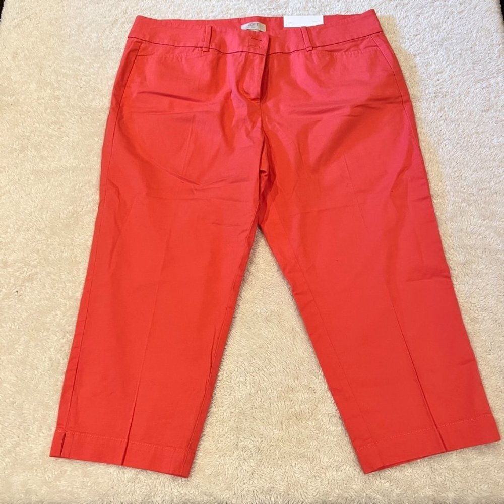 Loft Capri's Size 14P NWT
